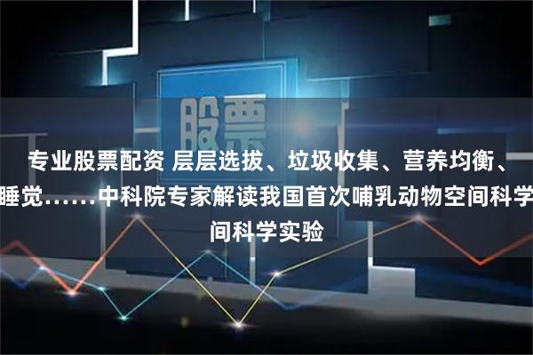 专业股票配资 层层选拔、垃圾收集、营养均衡、漂浮睡觉……中科院专家解读我国首次哺乳动物空间科学实验